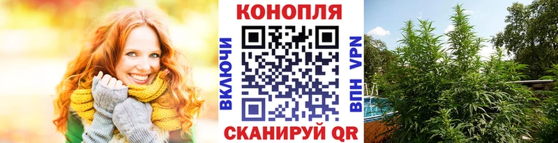 Канабис White Widow  купить наркотик  Нижнекамск 